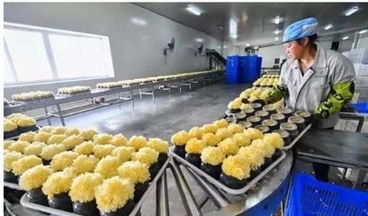 訪企業(yè)、解難題、促“六穩(wěn)”——尤溪 深入項(xiàng)目一線為企精準(zhǔn)把脈，力促商貿(mào)繁榮發(fā)展